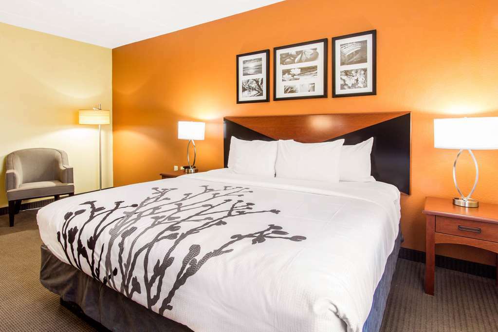 Comfort Inn & Suites Wildwood - The Villages Quarto foto